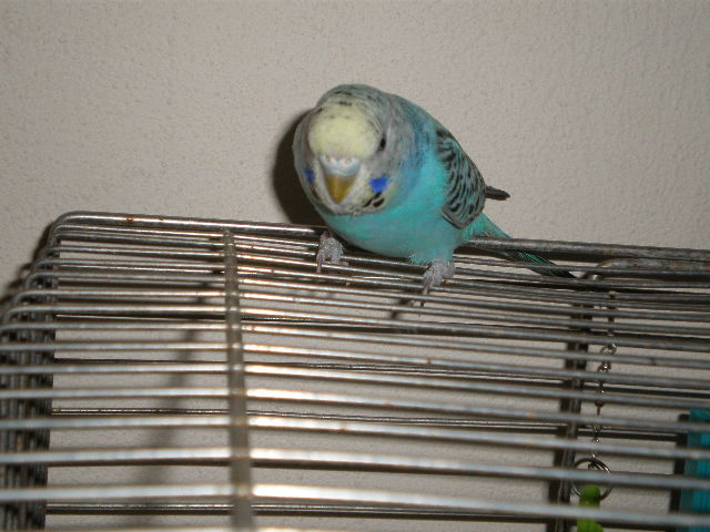 P9191678