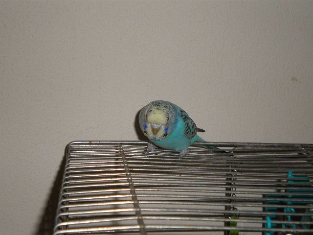 P9191679