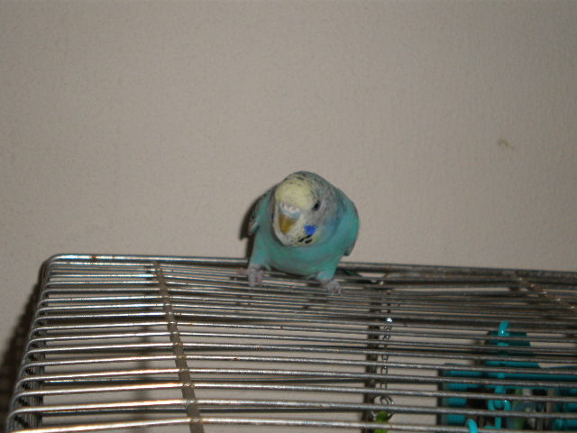 P9191680