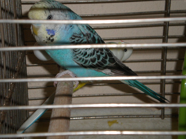 P9211718